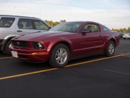 USA Mustang 2005 08 05 072