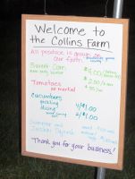 USA NewHampshire 2005 08 04 01