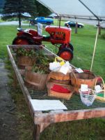 USA NewHampshire 2005 08 04 03