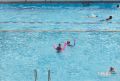 1999,Swimming,Nadia,Alexis Kershaw
